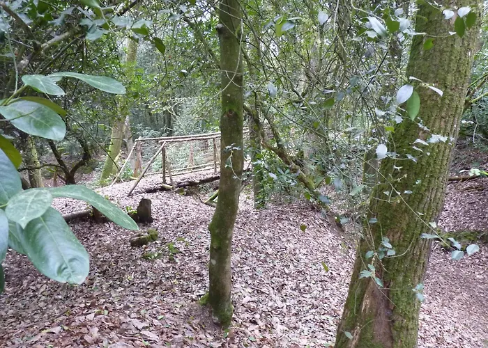 Pied De Mouton