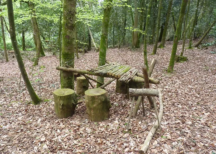 Pied De Mouton